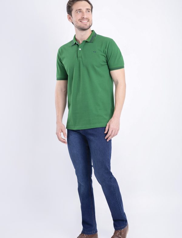 CAMISA POLO COLL MC ODLR