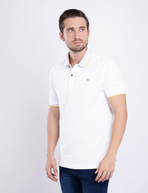 CAMISA POLO COLL MC ODLR