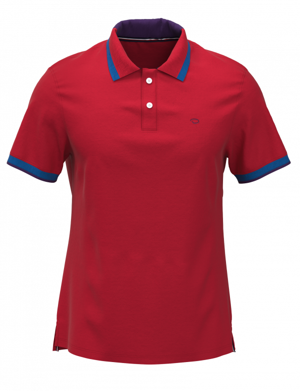 CAMISA POLO COLLECTION MC ODLR
